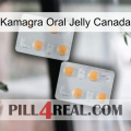 Kamagra Oral Jelly Canada 25